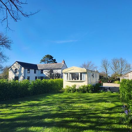 Rosebud Flower Farm Caravan Stay Countryside And Coast Penzance Eksteriør bilde