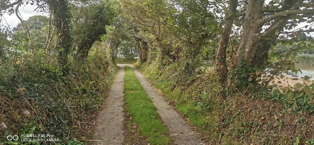 Rosebud Flower Farm Caravan Stay Countryside And Coast Penzance Eksteriør bilde